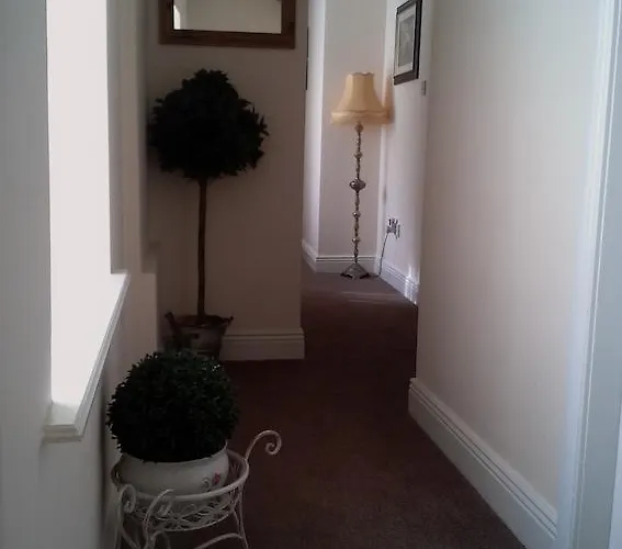 Jim Mcgee's Уэксфорд